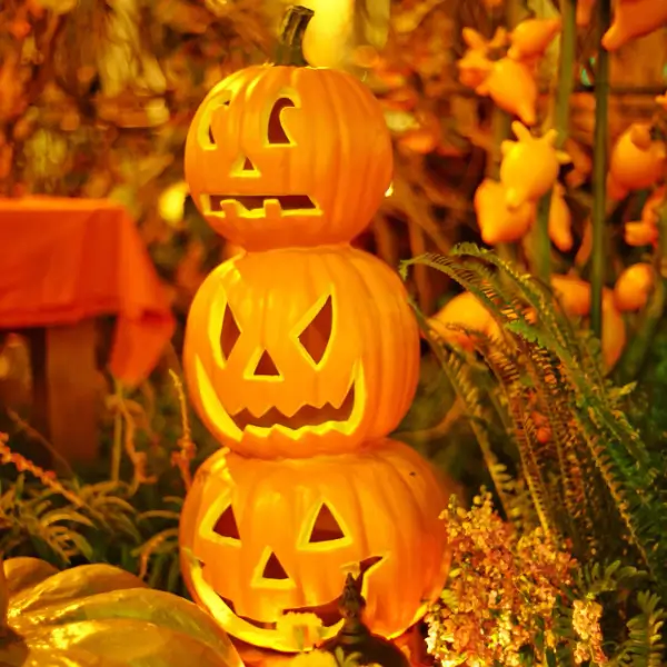 Halloween Pumpkins Halloween Pumpkins